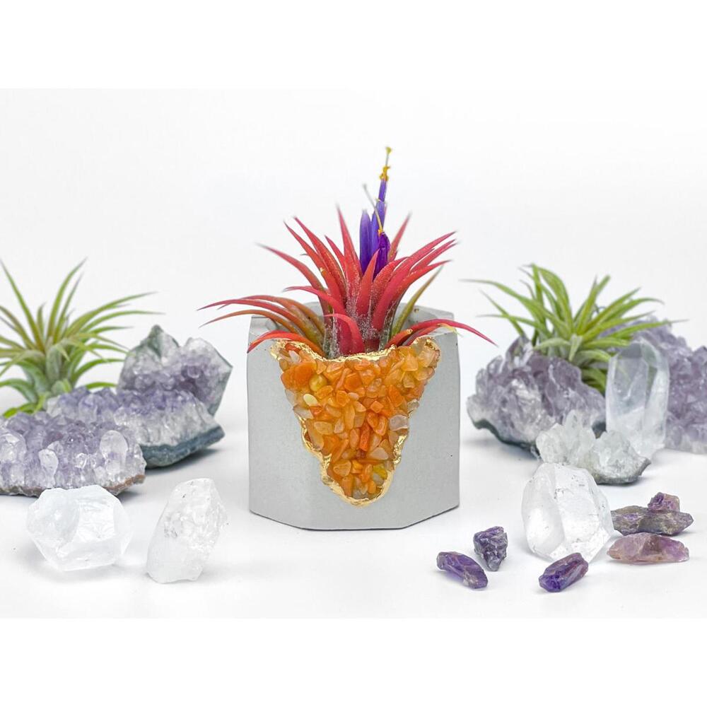 Red Aventurine Crystal Planter Reiki Crystal Candle Holder